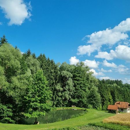 Holiday House Apartment Voukov Mlin Smarje pri Jelsah Exterior foto