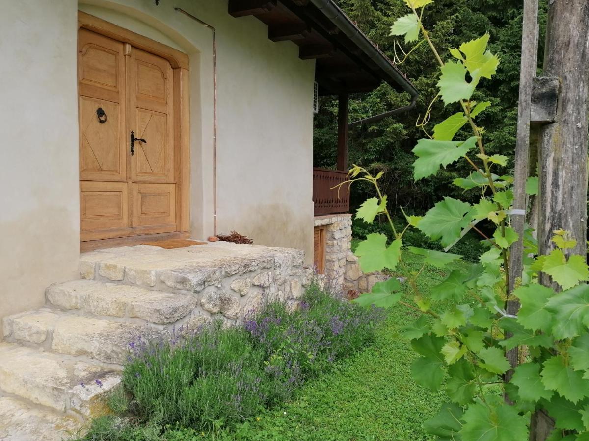Holiday House Apartment Voukov Mlin Smarje pri Jelsah Exterior foto