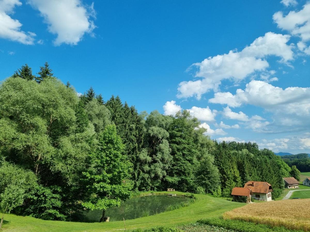 Holiday House Apartment Voukov Mlin Smarje pri Jelsah Exterior foto